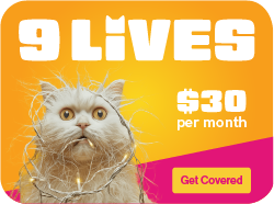 9 Lives offer