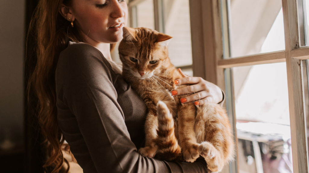 For the love of pets: what to know before choosing pet insurance