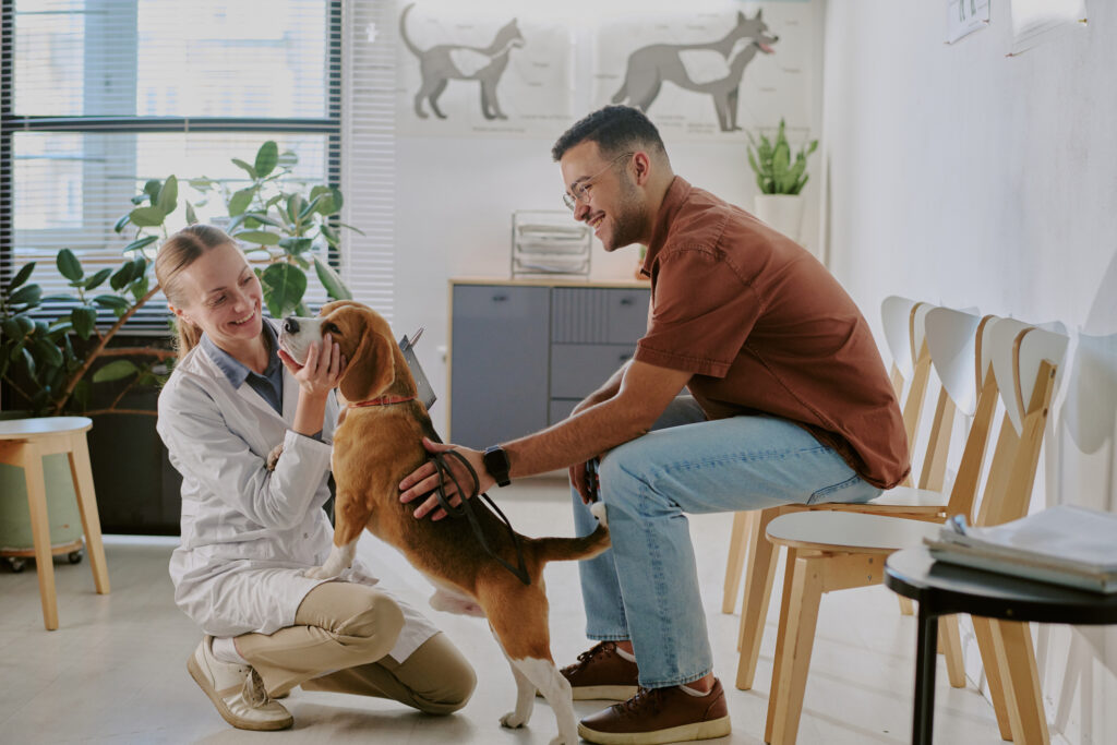 What is a Gap payment and why does it matter at the vet? 