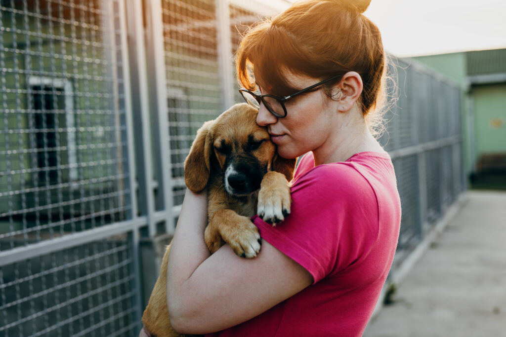 Thinking about adopting a rescue pet?