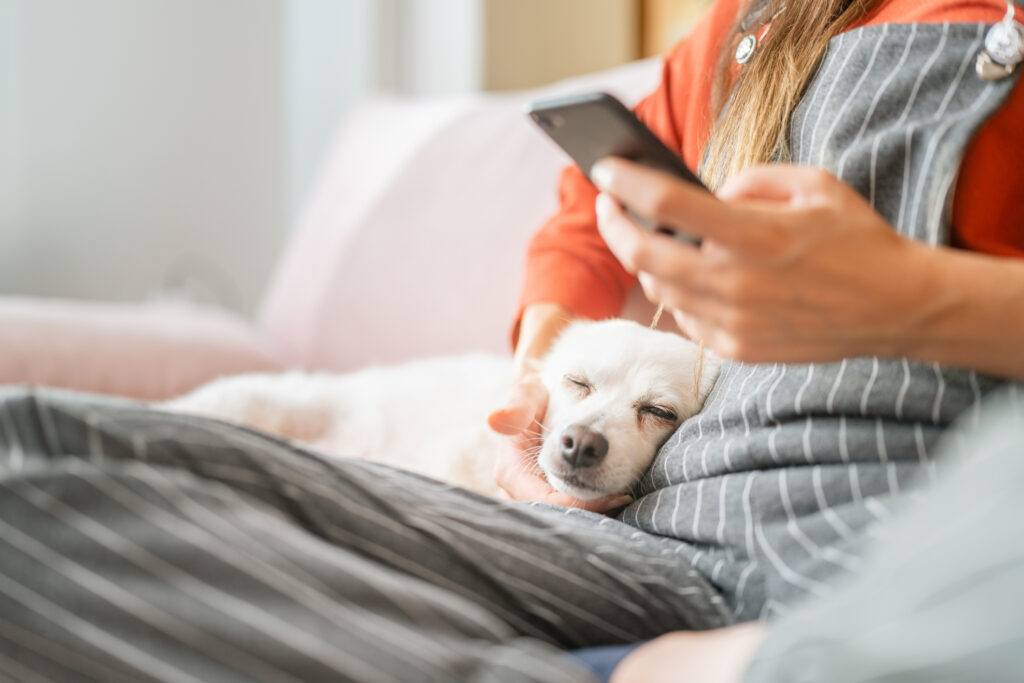 Is veterinary telehealth right for you?