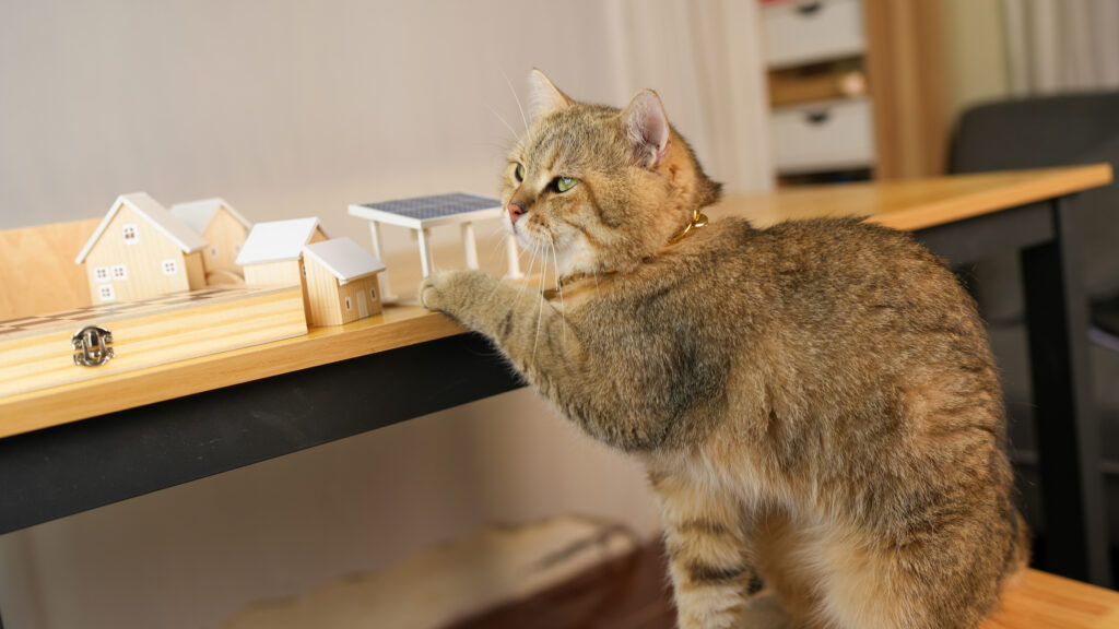 Your cat never leaves the house. So how do accidents happen?